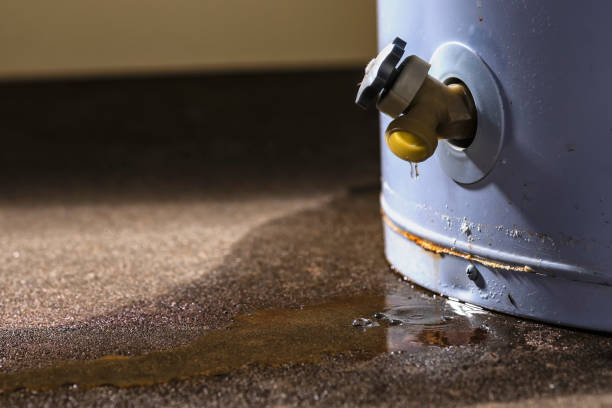 Best Water damage restoration mold remediation  in East Moline, IL