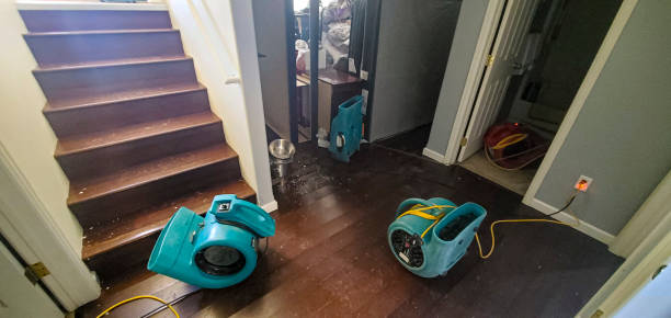 Best Water damage repair service  in East Moline, IL