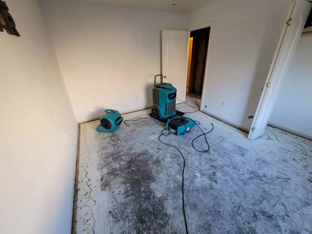 Best Basement water damage restoration  in East Moline, IL
