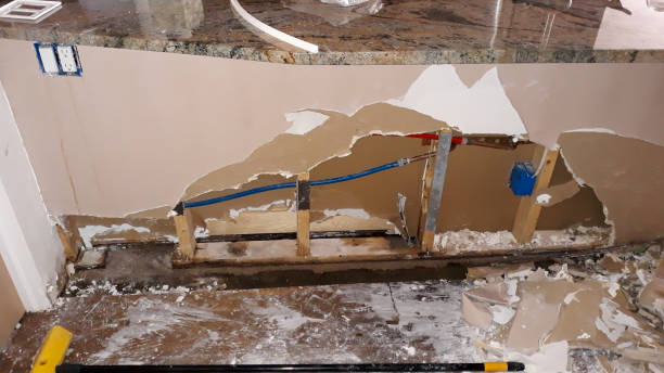 Water damage restoration mold remediation in East Moline, IL