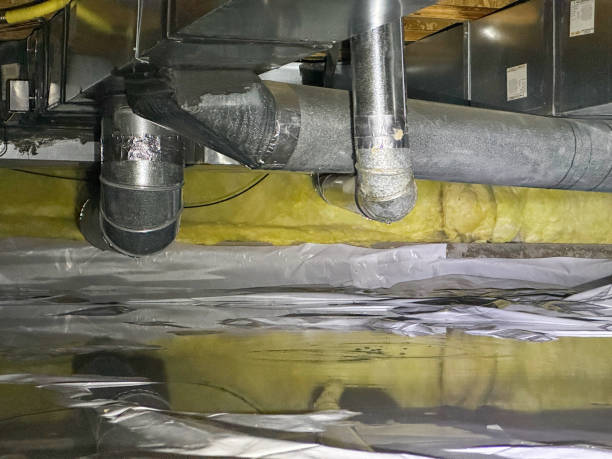 Best Flood damage cleanup  in East Moline, IL