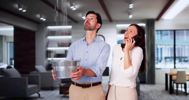 Best Basement water damage restoration  in East Moline, IL