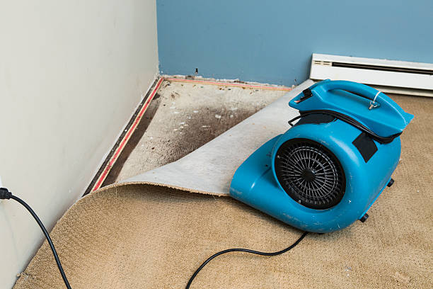 Best Residential water damage restoration  in East Moline, IL